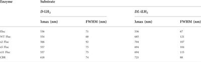 A higher spectral range of beetle bioluminescence with infraluciferin